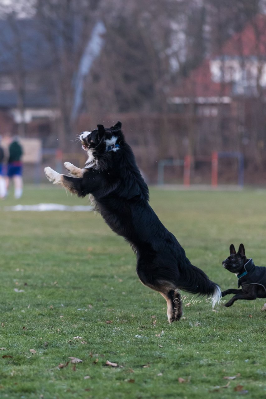 Bild 102 - Hundeshooting